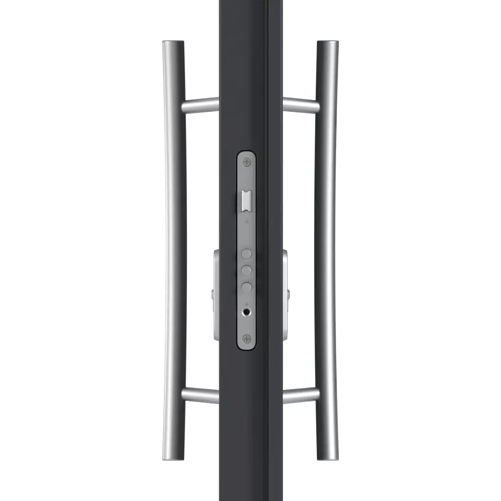 Pull handle(s) entry-doors models dindecor 6132-black  