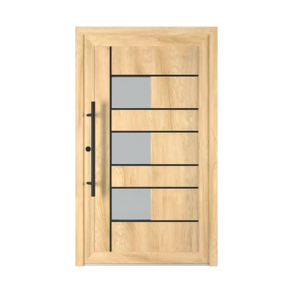 5026 PVC Black entry-doors models glazed 