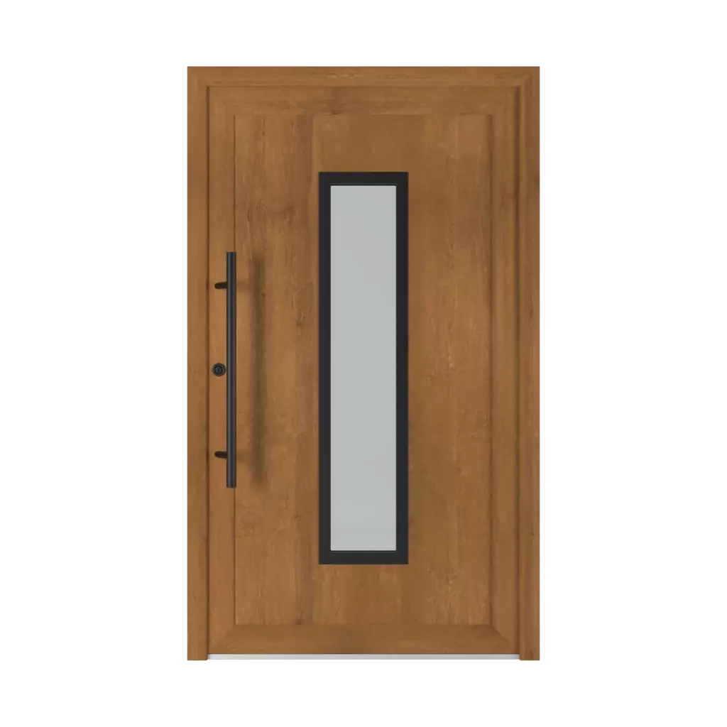 6002 Black PVC entry-doors models glazed 