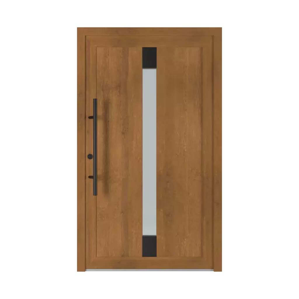 1301 PVC Black entry-doors models glazed 