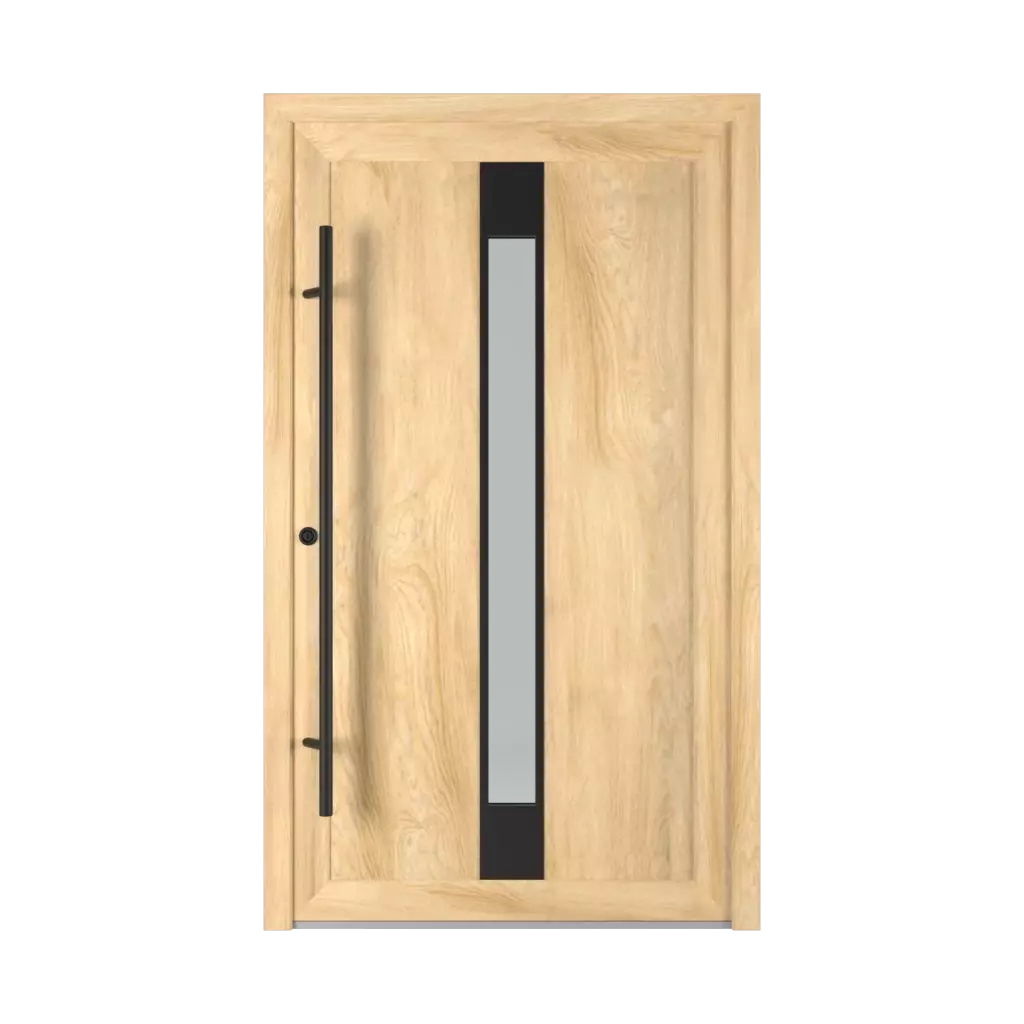 1401 PVC Black entry-doors models glazed 