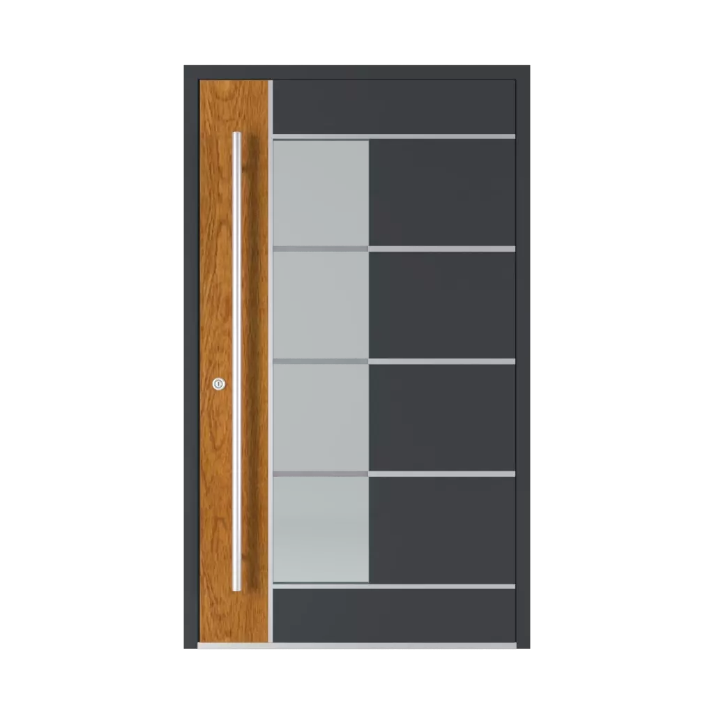 Model 2802 WD entry-doors models glazed 