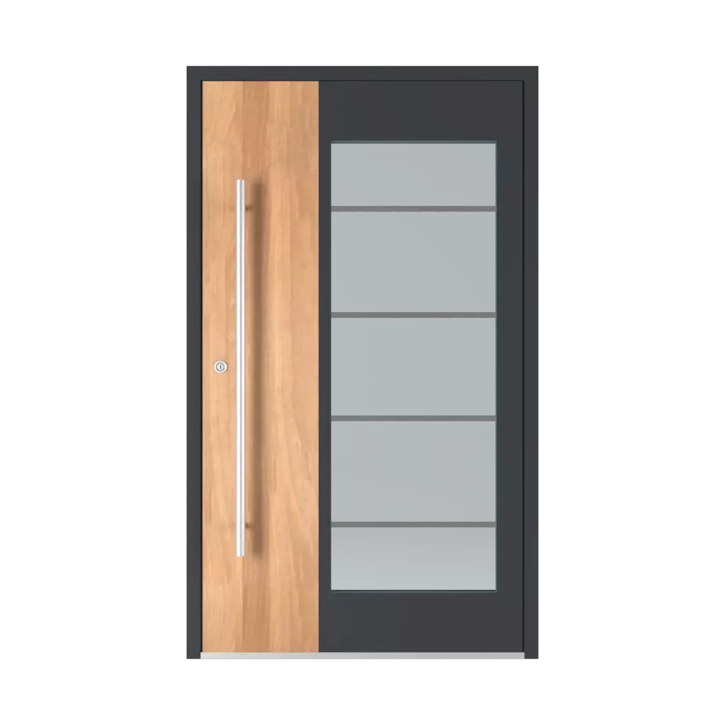 Model 6110 entry-doors models dindecor model-6110  