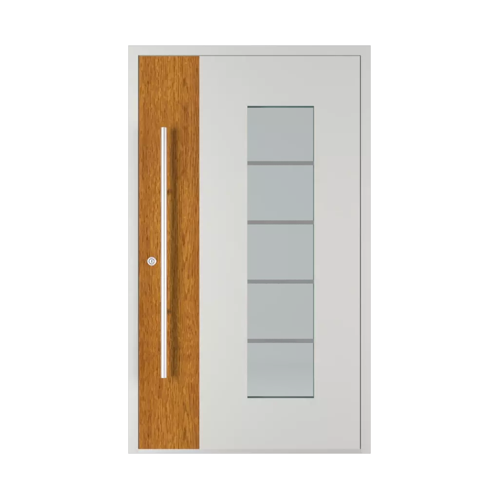 Model 6113 WD entry-doors models glazed 