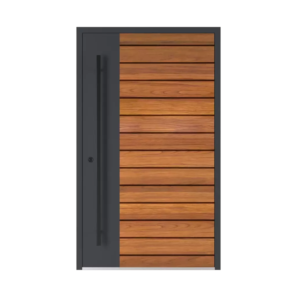 Model 6123 ✨ entry-doors door-colors ral-colors ral-6010-grass-green 