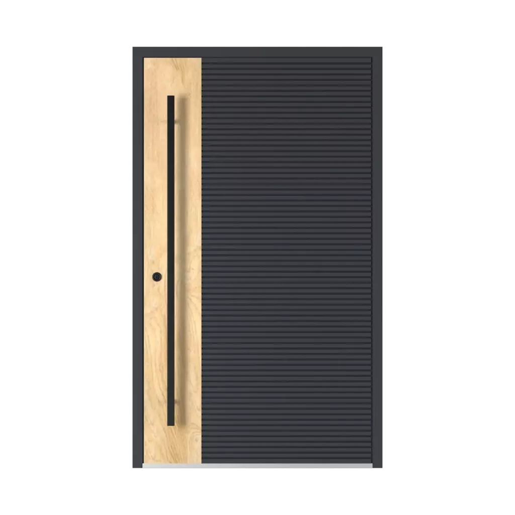 Model 6129 🆕 entry-doors models dindecor 