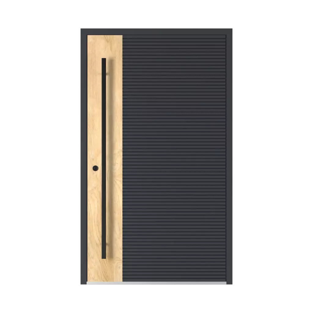 Model 6129 🆕 entry-doors models aluminum 