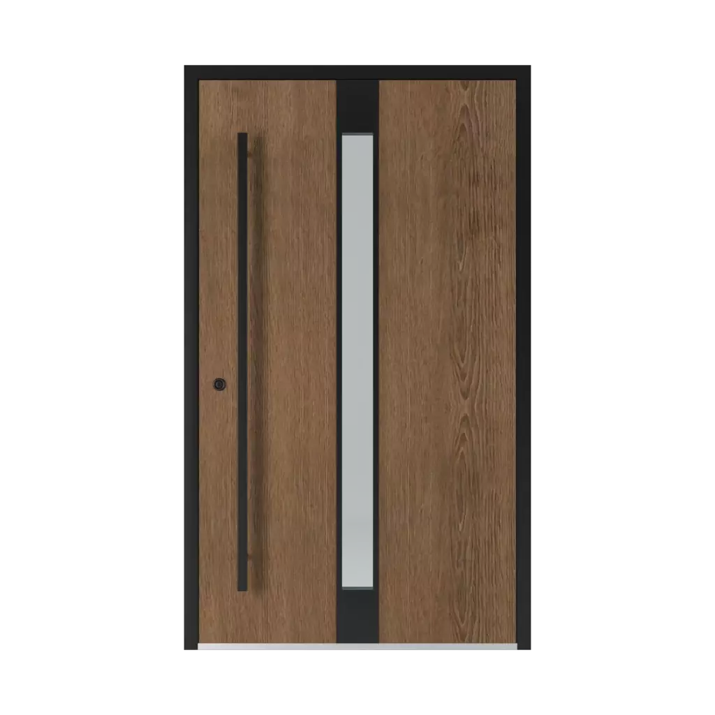 1401 Black entry-doors models glazed 