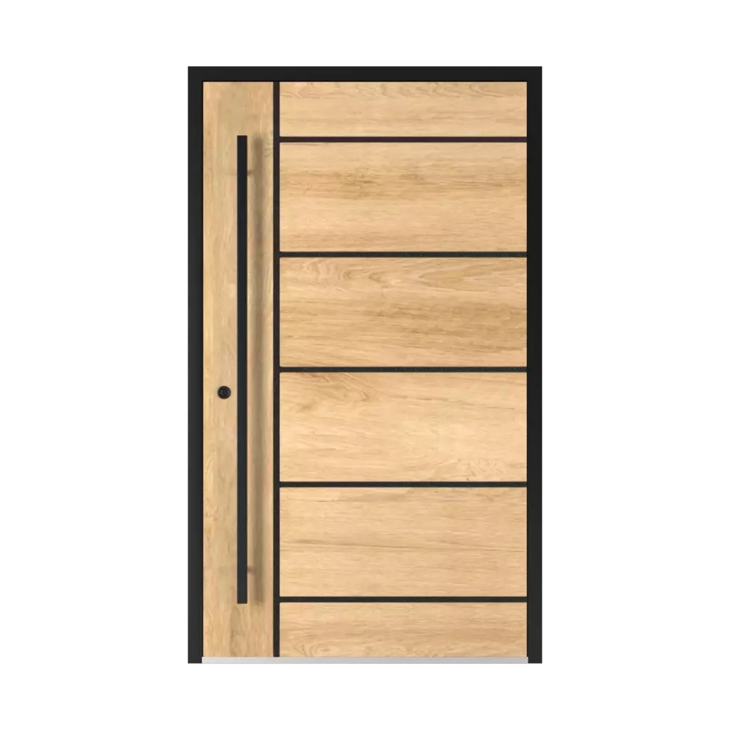 2801 Black entry-doors models aluminum 