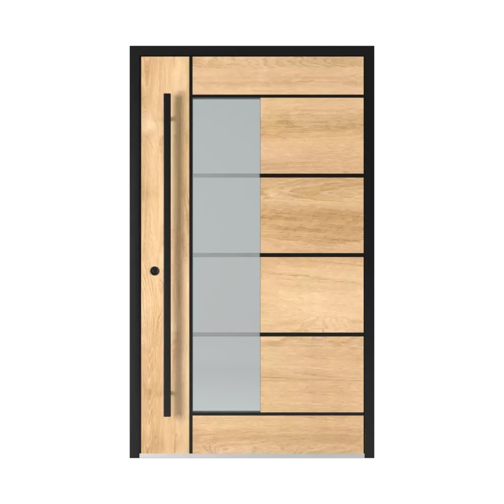 2802 Black products entry-doors    