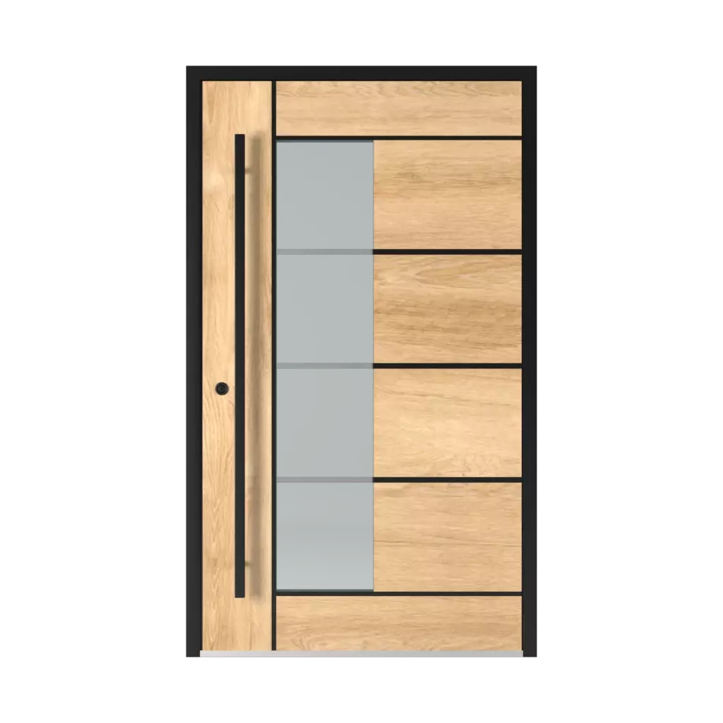 2802 Black entry-doors models aluminum 