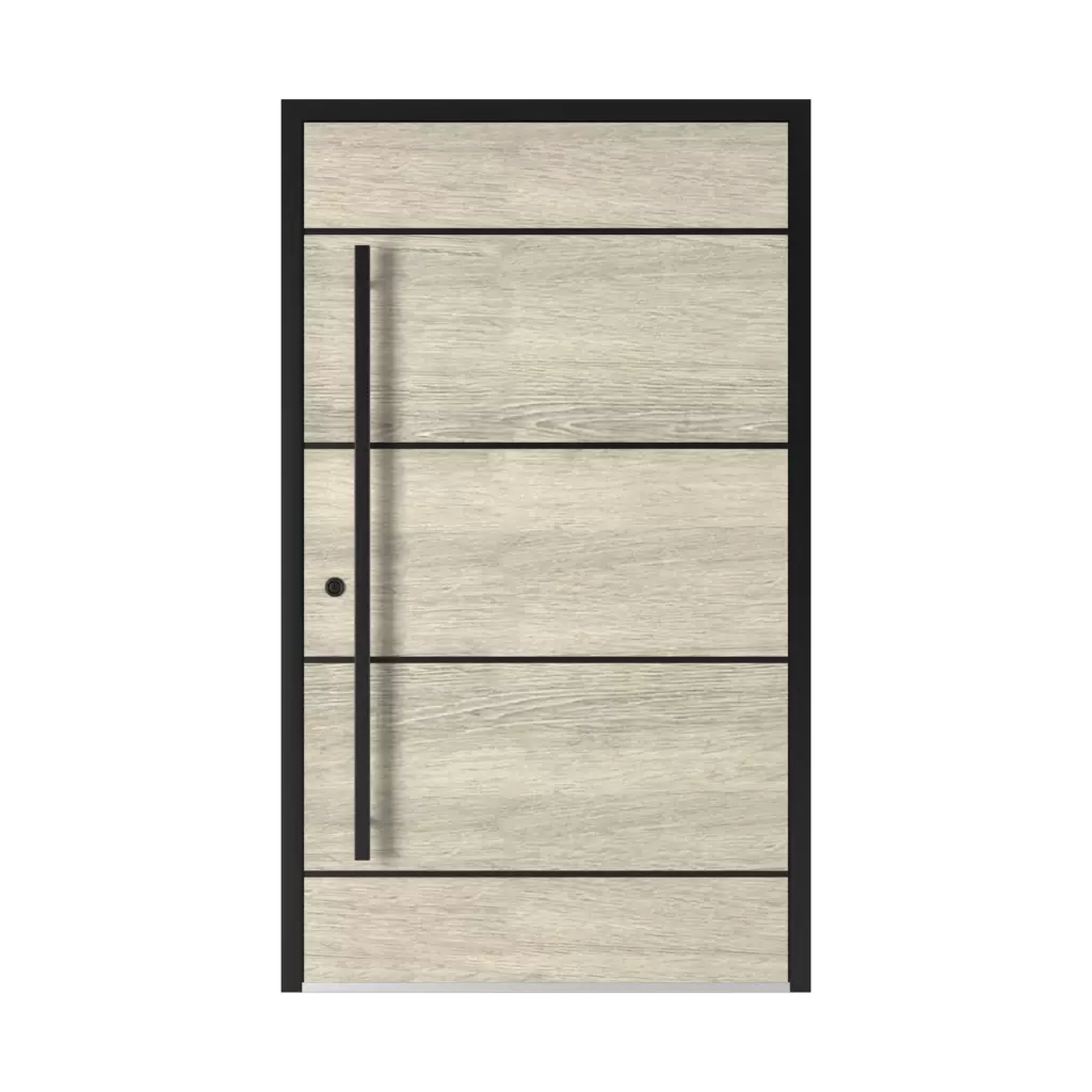 5009 Black entry-doors models aluminum 