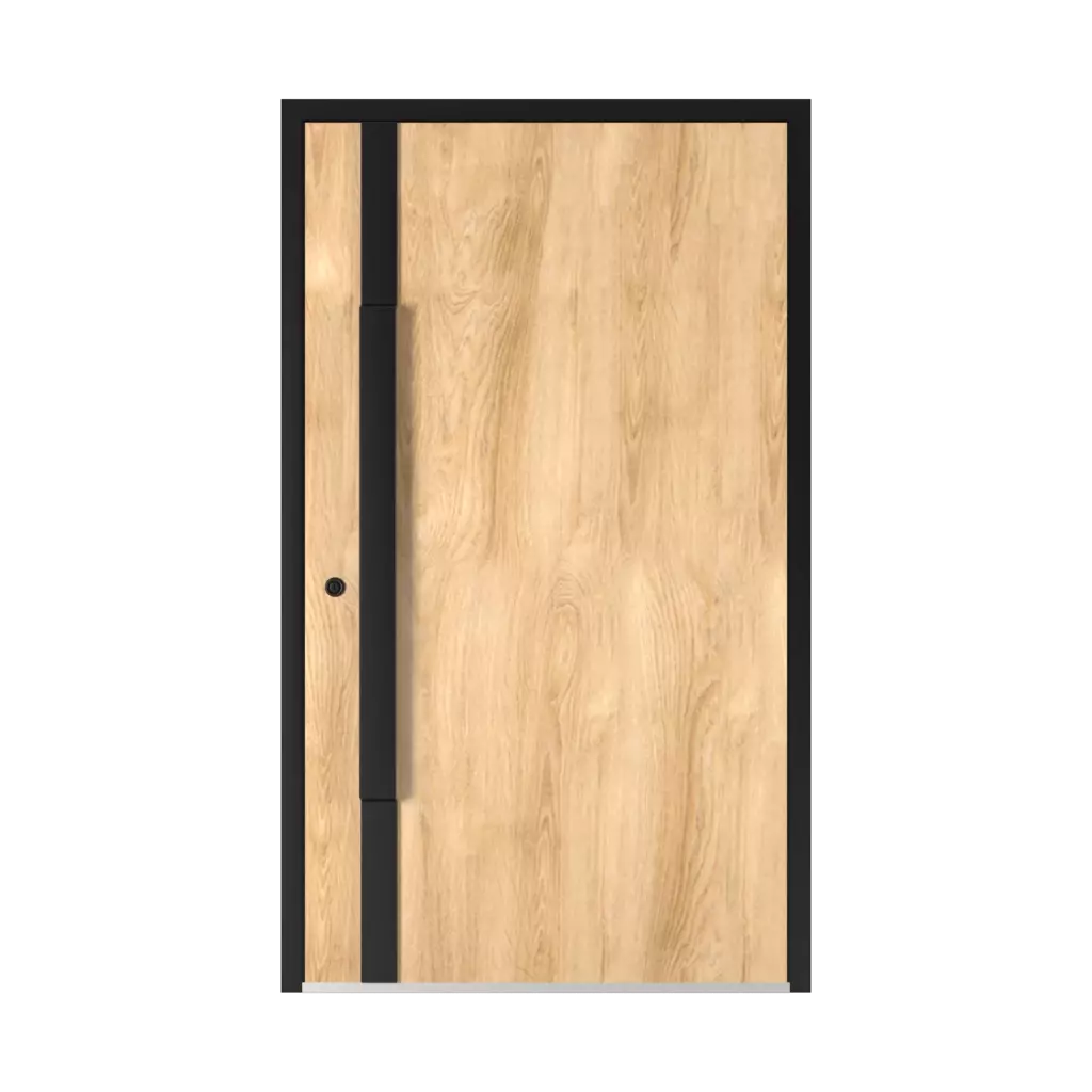 5015 Black ✨ entry-doors door-colors ral-colors ral-1001-beige 