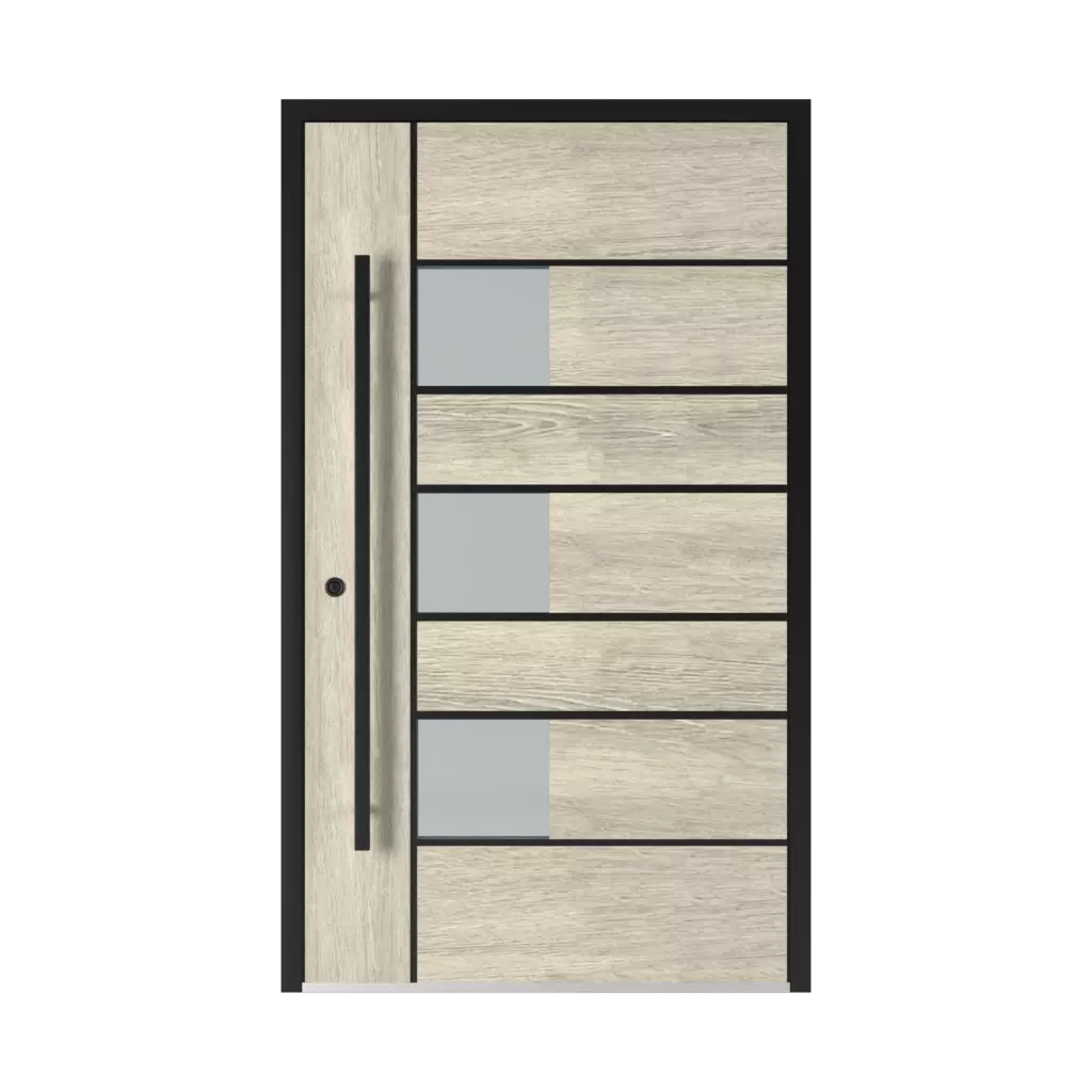 5026 Black entry-doors models aluminum 