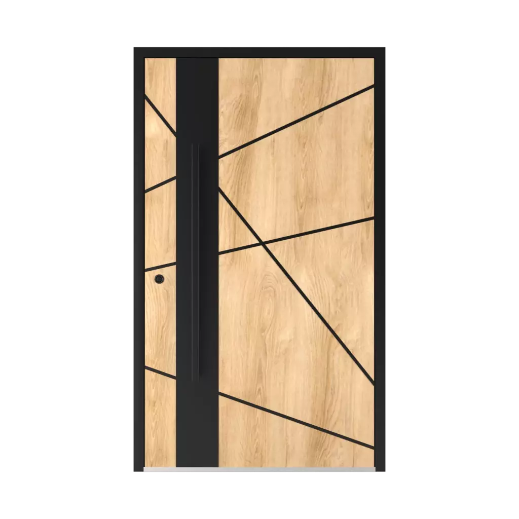 6132 Black ✨ entry-doors door-accessories pull-handles pull-handle-colors 