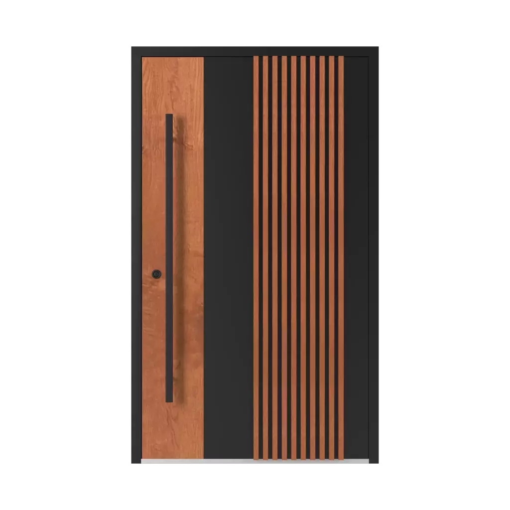 LL01 🏆 entry-doors models aluminum 