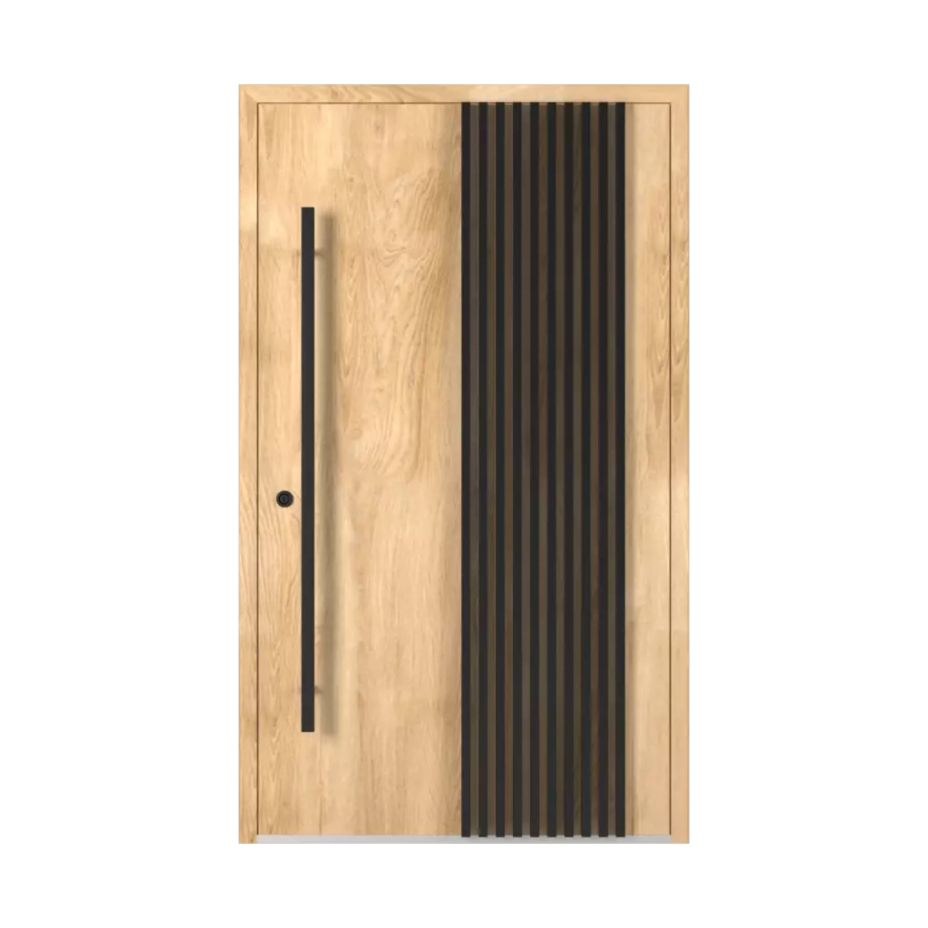 LL02 🏆 entry-doors models dindecor 