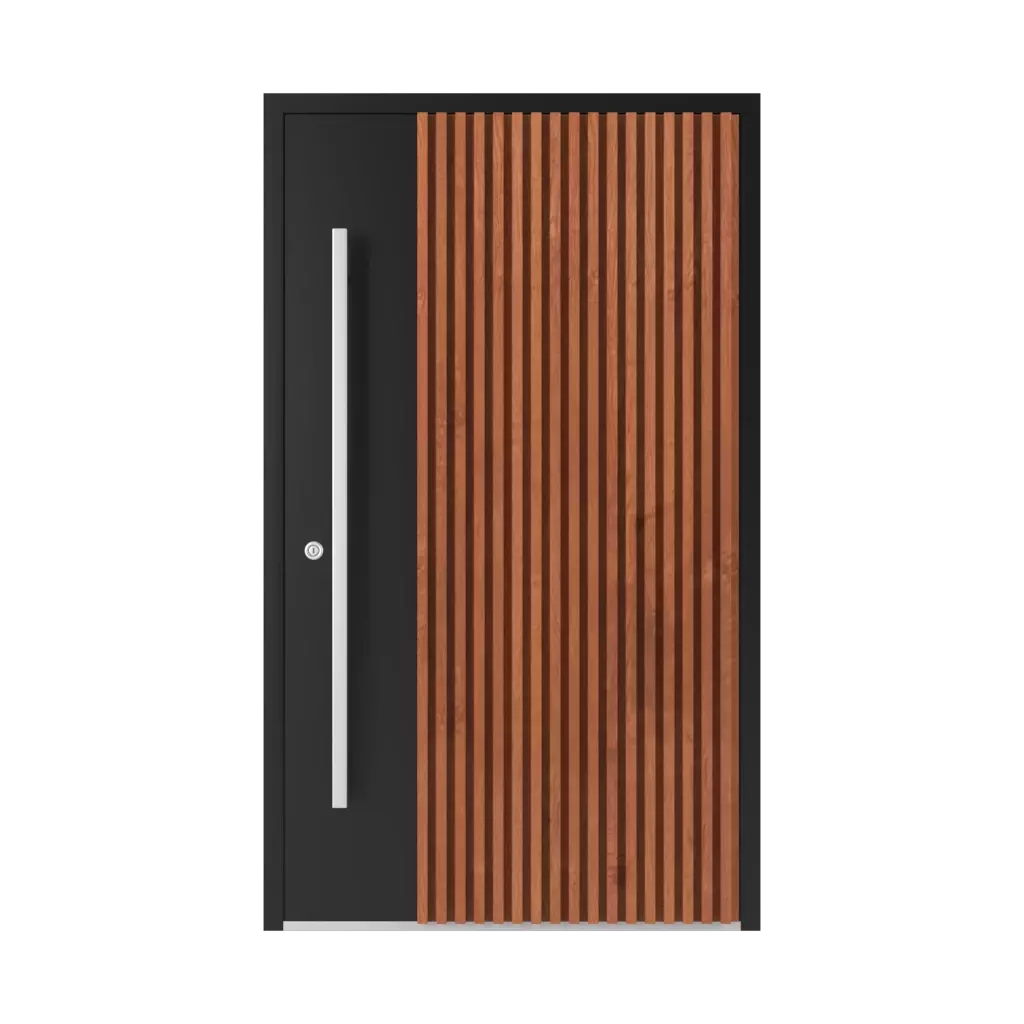 LL05 🏆 entry-doors models dindecor 