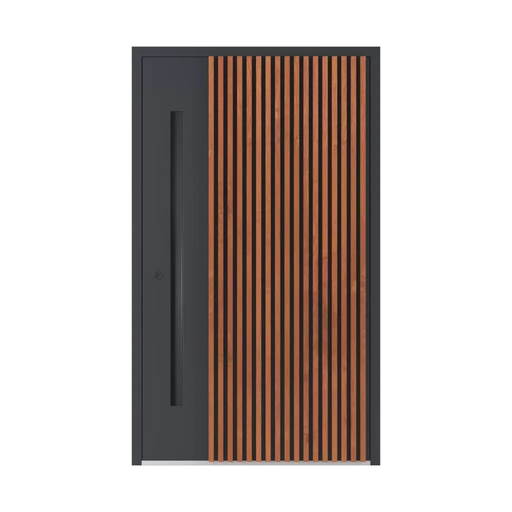 LL06 🏆 entry-doors models aluminum 