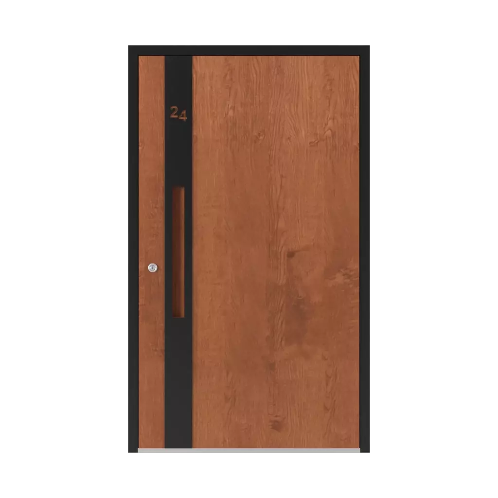 6124 PWZ entry-doors models aluminum 