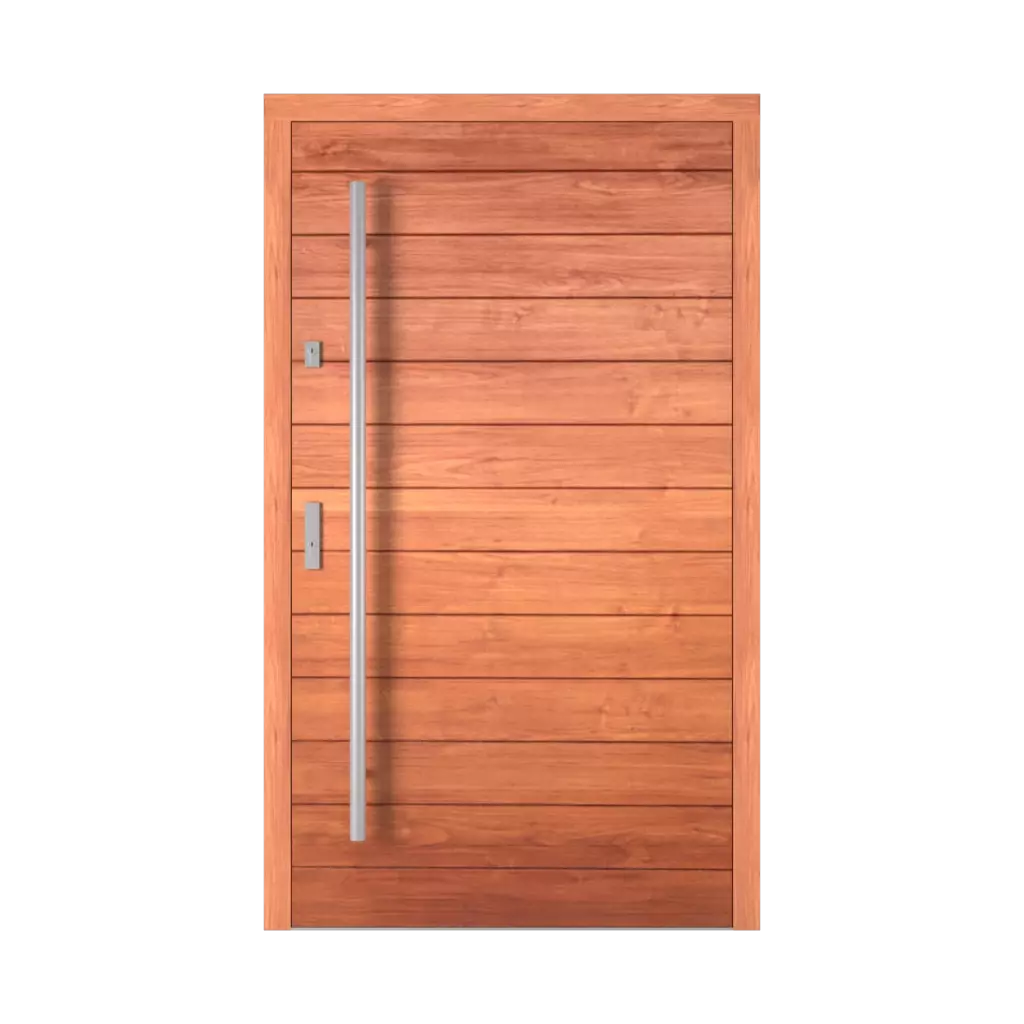 Berlin entry-doors models wood 