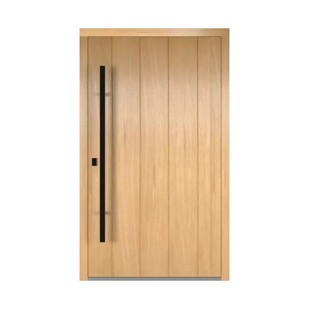 Dublin entry-doors models wood 