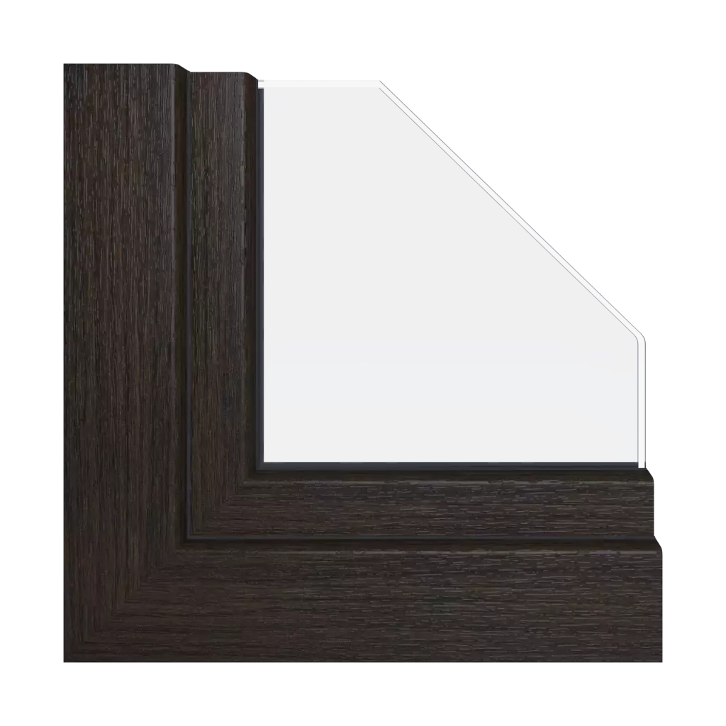 Dark oak windows window-profiles schuco living-md