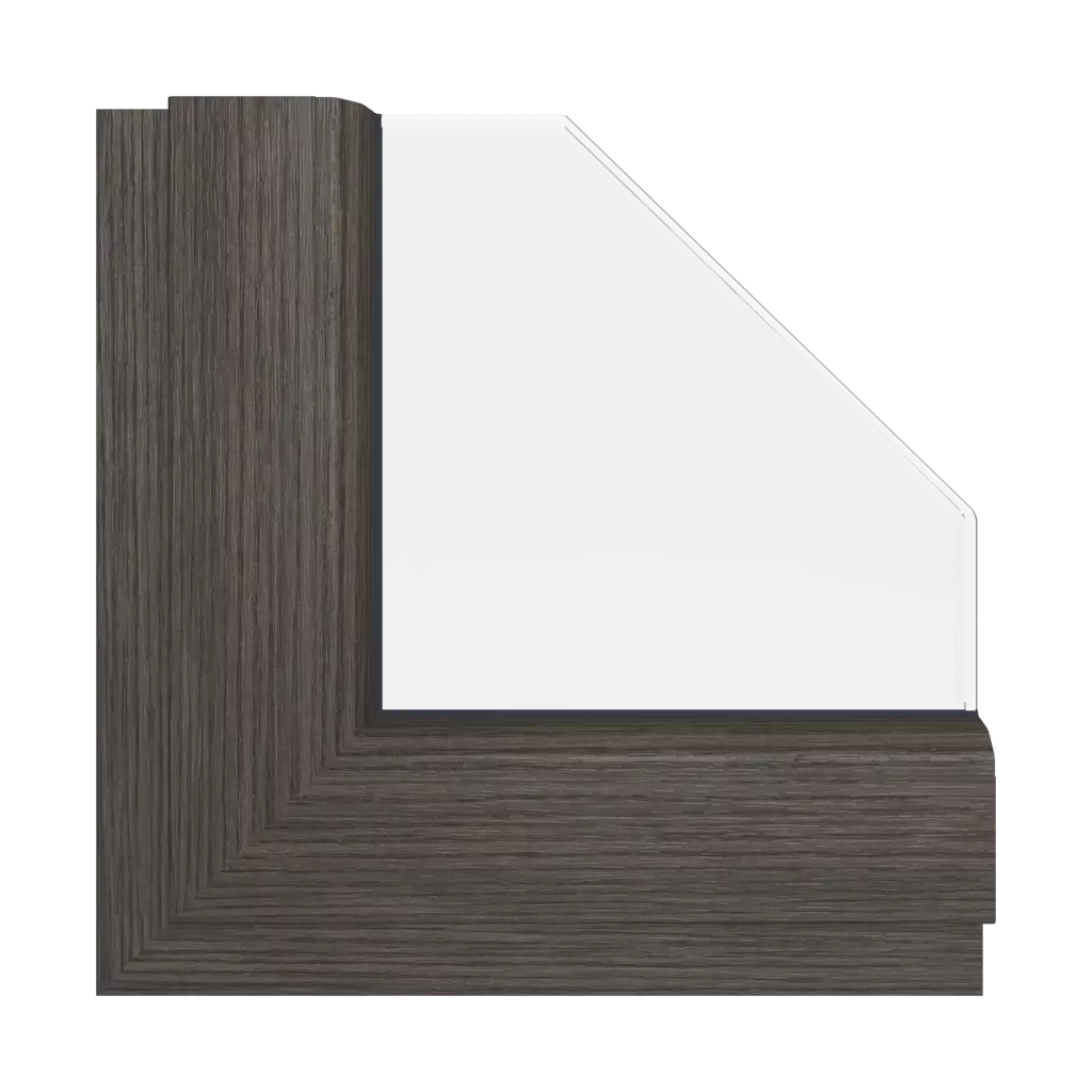 Swamp oak windows window-color gealan-colors swamp-oak interior