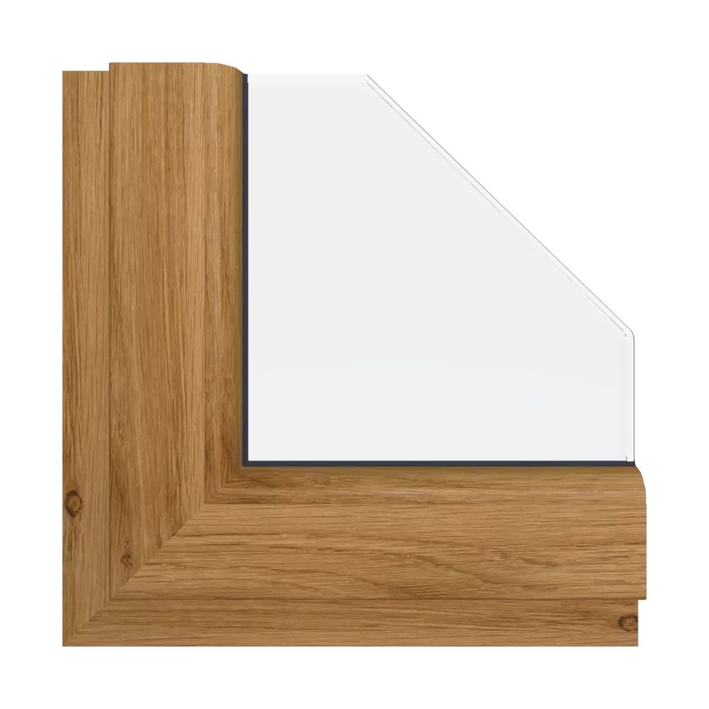 Winchester XA ✨ windows window-color gealan-colors winchester-xa interior