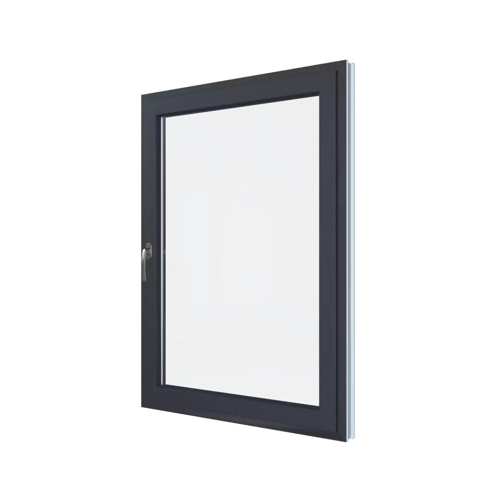 Concealed hinges windows glass glass-types matte 