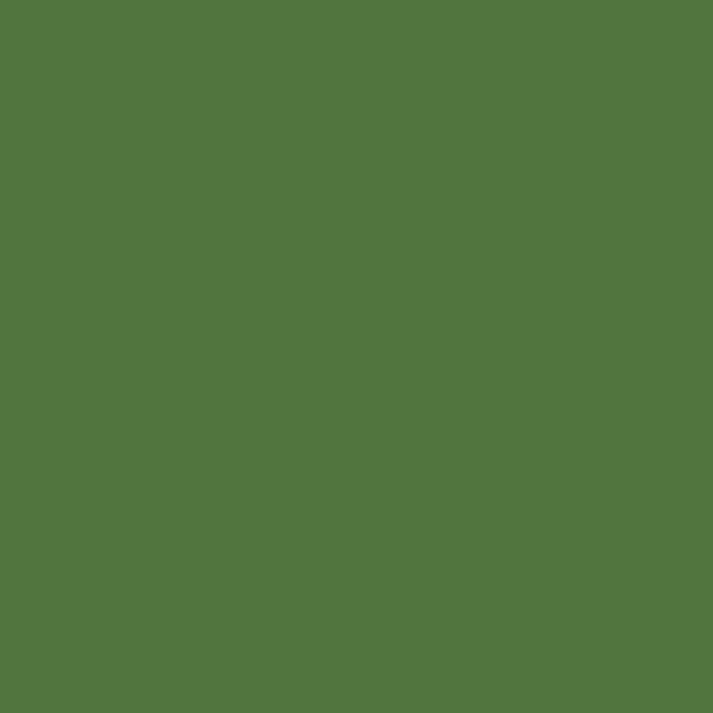 RAL 6025 Fern green windows window-color aluminum-ral ral-6025-fern-green texture